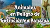 animales en peligro de extinción en panamá